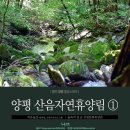 스테이산음