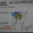 12월25일: 가학산 동굴 축제 내역서 (만복 대장님) 이미지