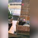 스테이상아 네이버블로그