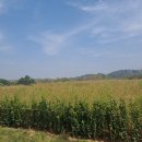 초지역 4번출구 뒤 | [정보] 화랑유원지 안산산업역사박물관 다녀온 후기