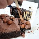 허밍버드 이미지