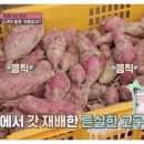 중산농원 이미지