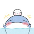웨일실용음악학원