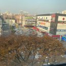 남양주삼산무에타이 이미지