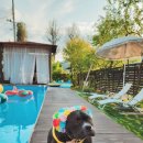 도화별장 이미지