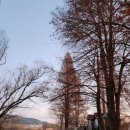 주남저수지 석산화장실 네이버블로그