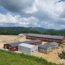 중원대학교 공공승마장 이미지