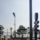 쎄나클