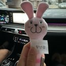 개 이쁜 애견미용샵 | 몇 년째 다니는 사랑이 넘치는 곳 당진 애견미용샵 “개멋지냥”🐶🤎 찐후기