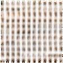 정원파크 | 서브스냅 추천 정원필름 보타닉파크웨딩 내돈내산 후기