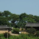임고면-선원리-28