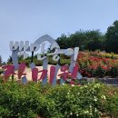 도당동 행정복지센터 이미지