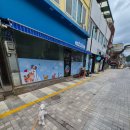 루비 애견샵 | [내돈내산] 루비랑 다녀온 양구 무인애견용품샵🐶 장난감, 간식 구경하고 온 날!