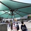 그늘막31 이미지