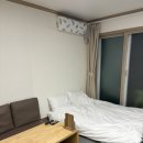 글램독통영 | 통영 애견펜션 글램독 펜션 204호 301호 후기