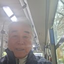 칠성식당 Daum카페