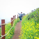 함덕 서우봉 해변 이미지