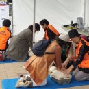 마산가고파 국화축제장 이미지