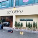 히포레스트(Hipporest) 이미지