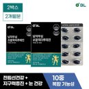 비엘1 이미지