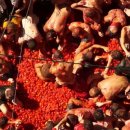 수박&토마토 축제 이미지