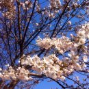 새절역2번출구 이미지