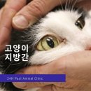 비타민동물병원 이미지