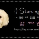 내몸에쑥뜸방 이미지