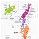 올댓와인 이미지