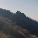 묘정