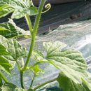 오근농장 이미지