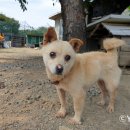 능성동농장 이미지