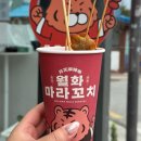 강릉월화 | 강릉 중앙시장 먹거리 월화마라꼬치 솔직후기