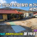 안심2리 이미지