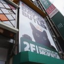 본가 남포동점 | 부산카페추천ㅣ고양이 카페 &#39;집사의 하루&#39;, 남포동 놀거리