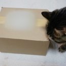 주식회사 옵스틴 이미지