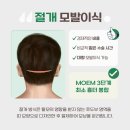 오던모발