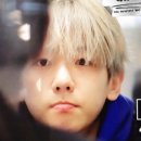 백현 농장 이미지