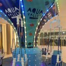 (주)본파트너스 | [공지] 가산 메가팩토리 근처 아쿠아리움 급 키즈카페가 생겼다구요? 아쿠아밸리 직접 가본 후기!