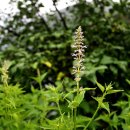 염북마을회관 이미지