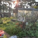 펜션 데일리 | 송도국제캠핑장 데일리바베큐 이용 후기