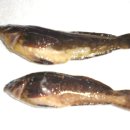 자작도해변 이미지