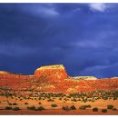 Force of Nature 이미지