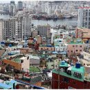 완월동051 이미지