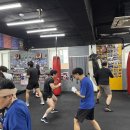 대한복싱체육관 이미지