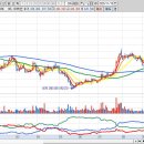 (주)농협사료 R&D센터 | 외국인 매수상위주 이슈정리 (2025년 11월 19일)