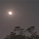 춘산 - 중구 | 춘산