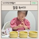 소금&설탕 | 엄마표 과학 놀이 얼음 녹이기 소금 설탕