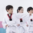 화신태권도 이미지