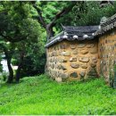 신지생태공원 이미지